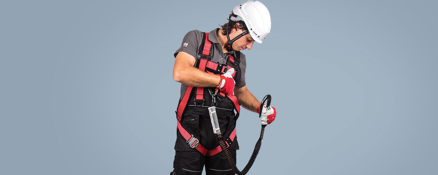 Elastic 2 points harness