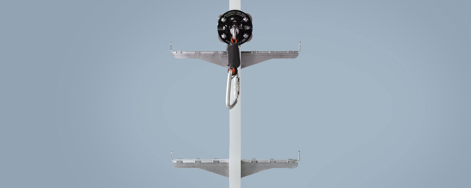 Rail ladder with fixed rungs